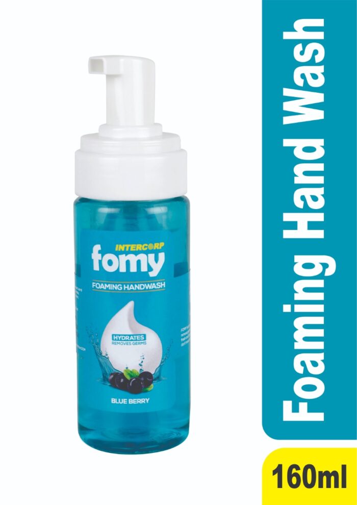 INTERCORP FOMY Antibacterial Soft Refreshing Foam Hand Wash, 160 ml (Blueberry)