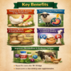 INTERMIX - AMINOBLEND - ADVANTAGES INTERMIX - AMINOBLEND - ADVANTAGES