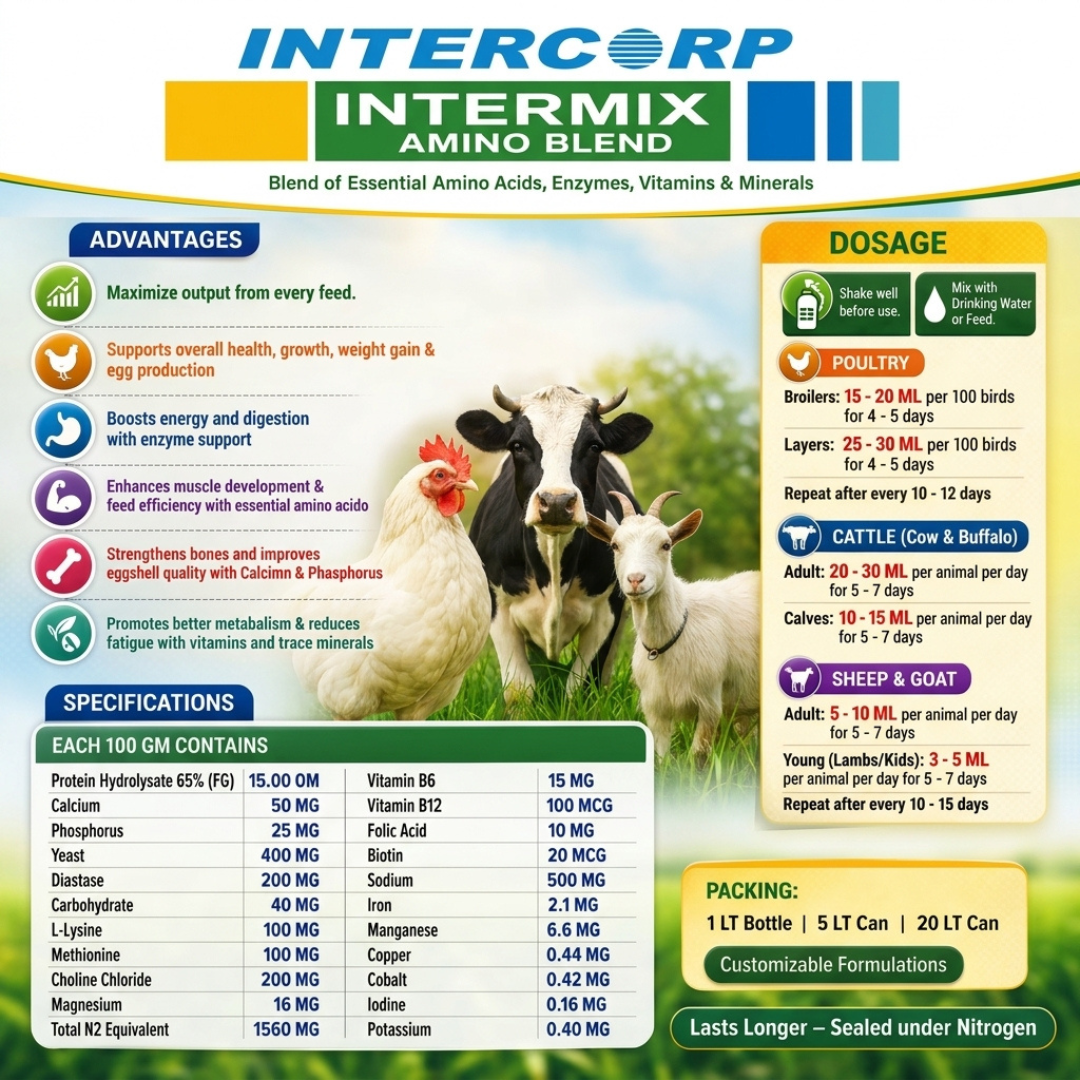 INTERMIX - AMINOBLEND BROCHURE IMAGE