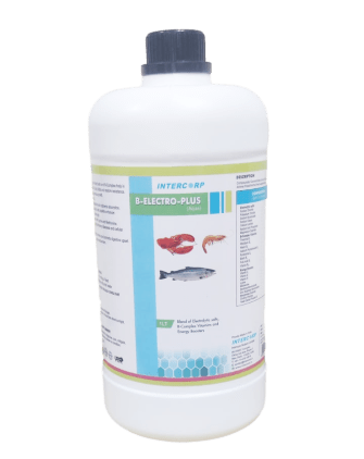 INTERMIX - BELECTROPLUS - 1 LT BOTTLE - LIQUID