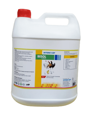 INTERMIX - BESOL - 5 LT BOTTLE - LIQUID