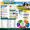 INTERMIX - AMINOBLEND DS - BROCHURE IMAGE