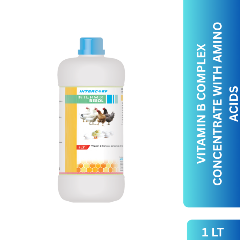 INTERMIX - BESOL-1LT