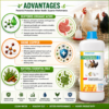 INTERMIX - ACIDO PH PLUS - ADVANTAGES