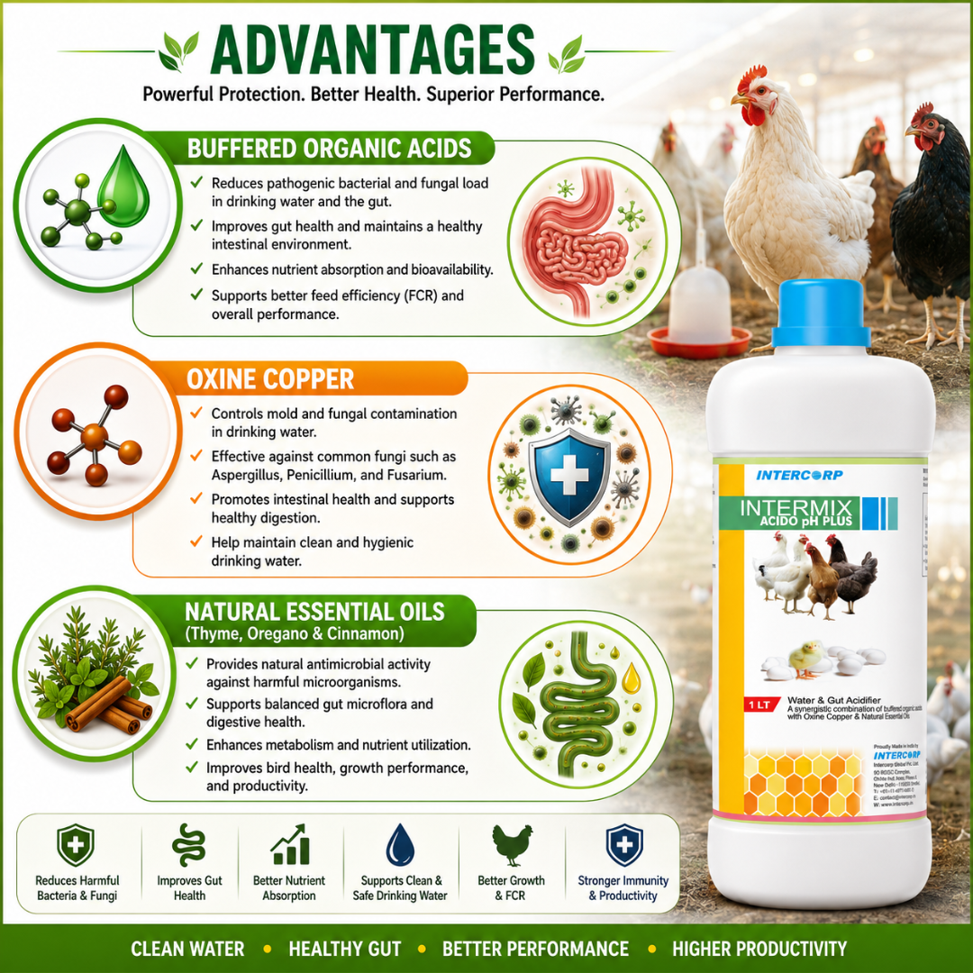 INTERMIX - ACIDO PH PLUS - ADVANTAGES