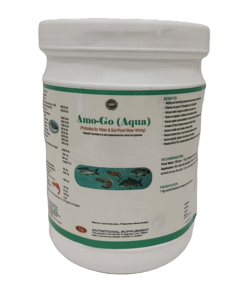 INTERMIX - AMO-GO (AQUA) 1 KG JAR - POWDER