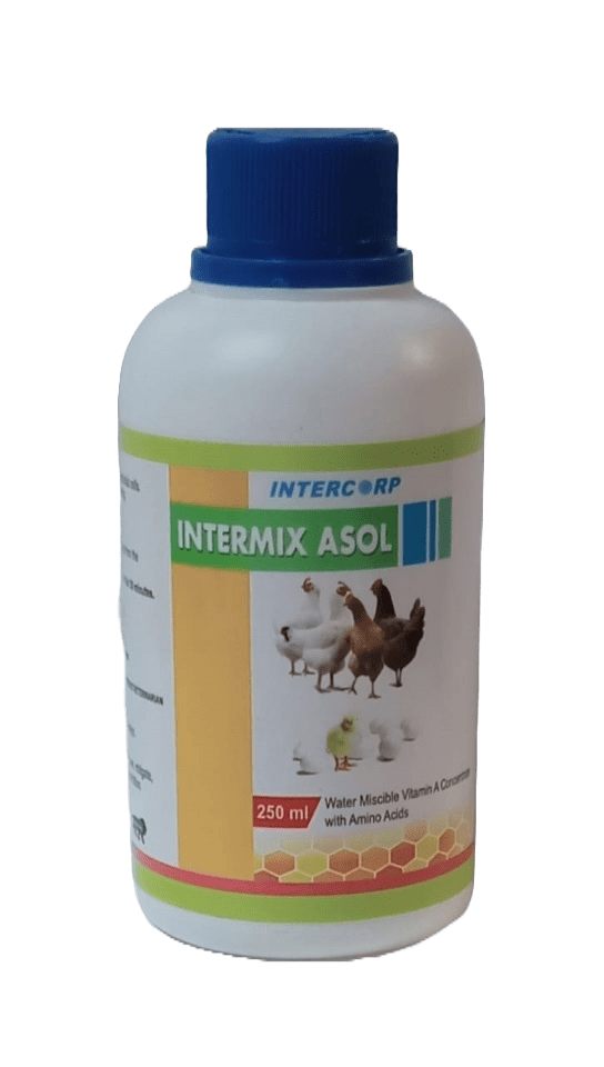 INTERMIX - ASOL - 250 ML BOTTLE - LIQUID