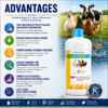 INTERMIX - B - ELECTROPLUS - ADVANTAGES - SQUARE
