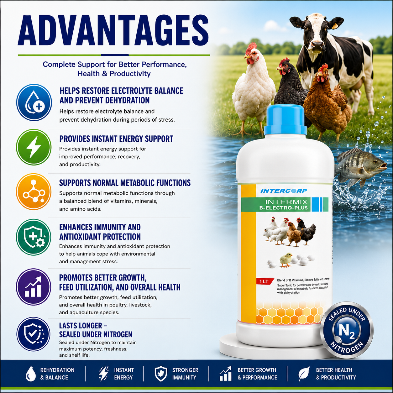 INTERMIX - B - ELECTROPLUS - ADVANTAGES - SQUARE