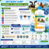 INTERMIX - B - ELECTROPLUS - BROCHURE SQUARE