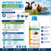 INTERMIX - B - ELECTROPLUS - HOW TO USE - SQUARE