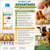 INTERMIX - BIO-SELVIE - ADVANTAGES