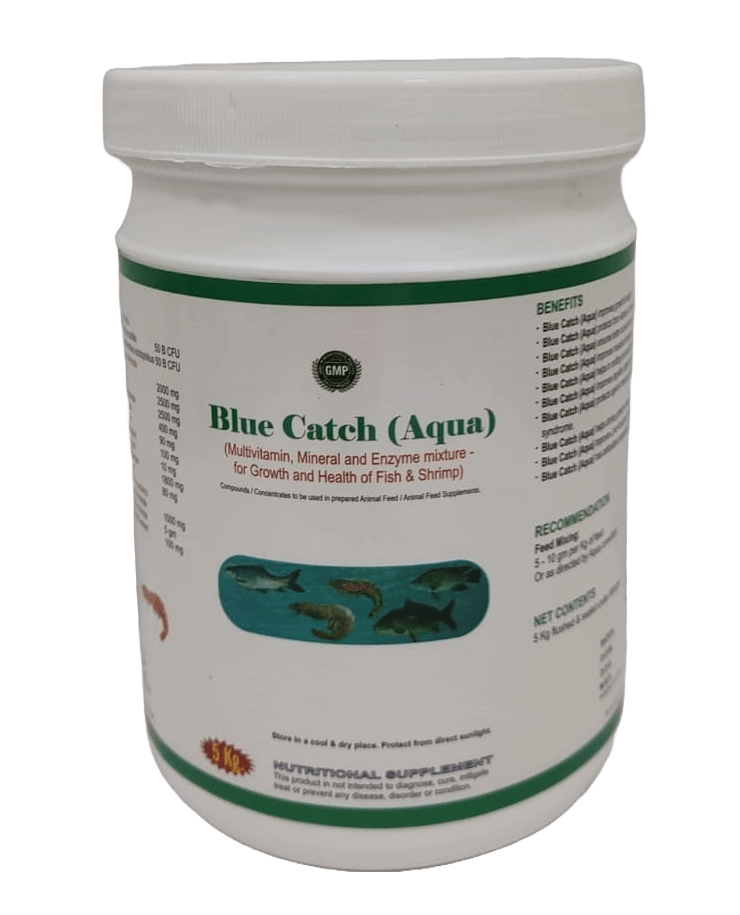 INTERMIX - BLUE CATCH (AQUA) - 1 KG JAR - POWDER
