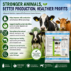INTERMIX - BYPASS NUTRI VET - ADVANATGES