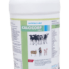 INTERMIX - CALCICORP (VET) 1 Lit
