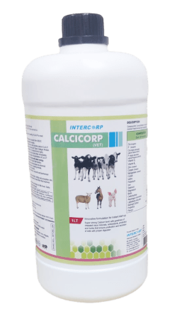 INTERMIX - CALCICORP (VET) 1 Lit