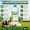 INTERMIX - CALCIRICH - ADVANTAGES