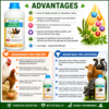 INTERMIX - CALCIVITE - H ADVANTAGES - SQUARE
