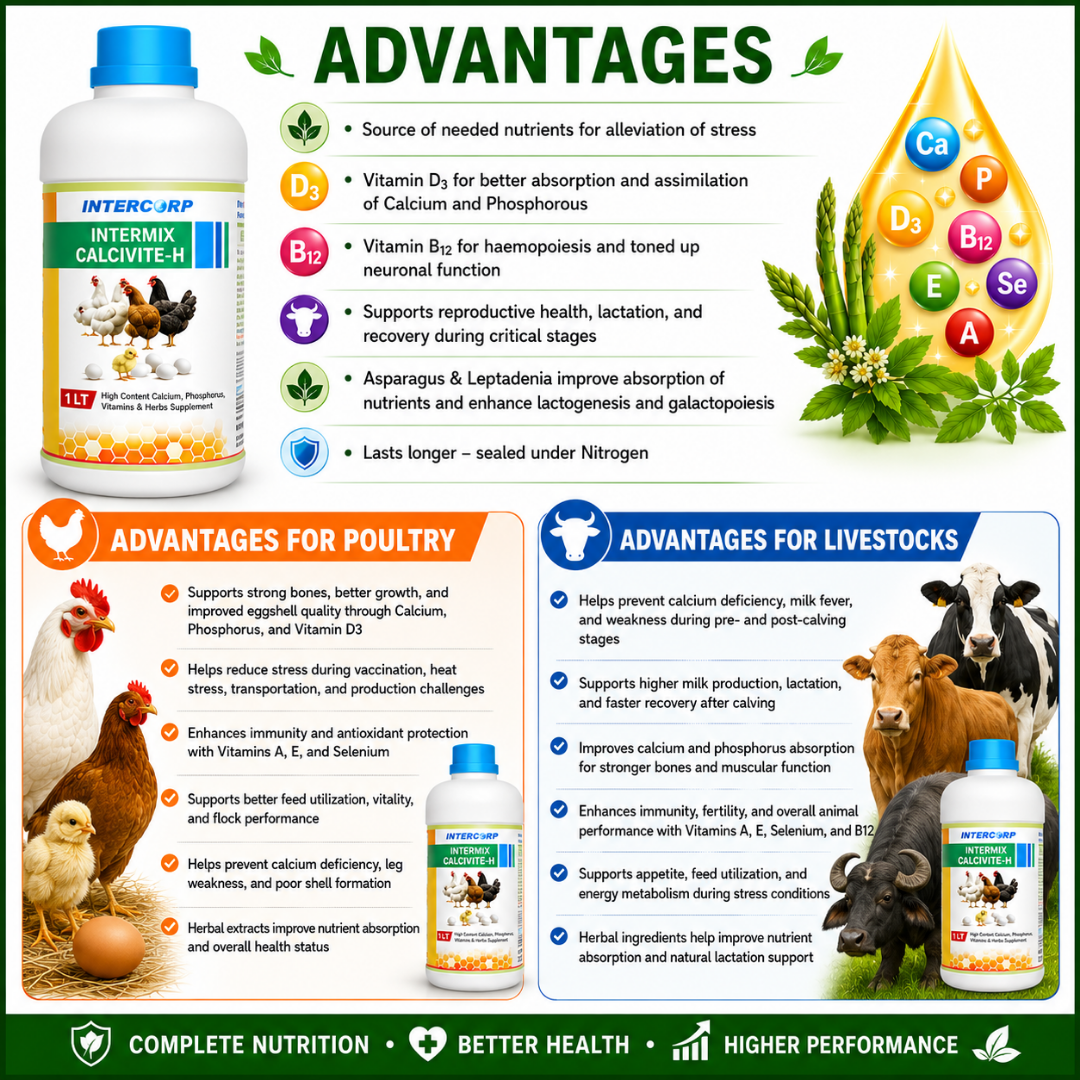 INTERMIX - CALCIVITE - H ADVANTAGES - SQUARE
