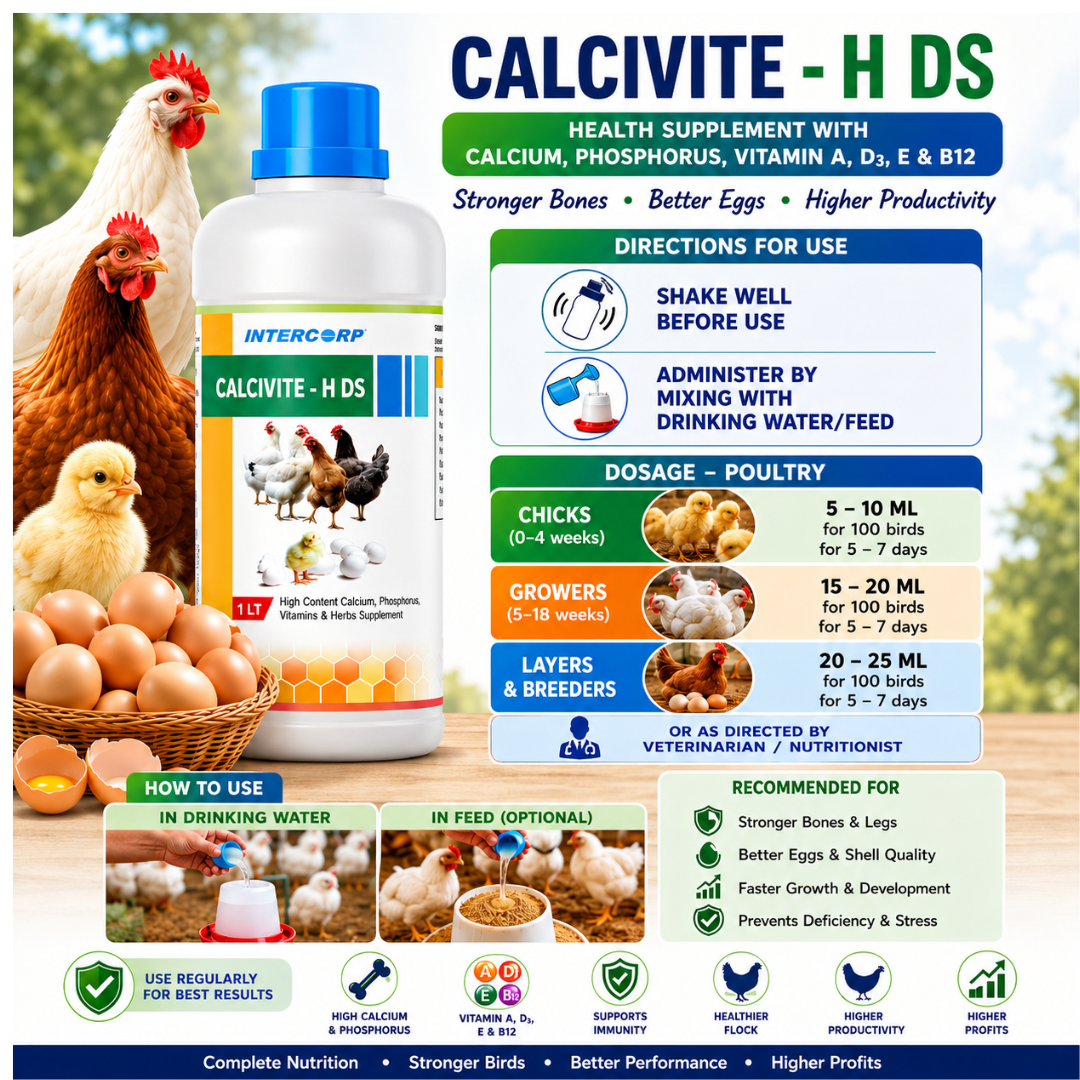 INTERMIX - CALCIVITE - H DS - HOW TO USE SQUARE