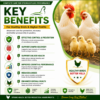 INTERMIX - COXICHECK WS - ADVANTAGES - SQUARE