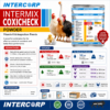 INTERMIX - COXICHECK WS - BROCHURE - SQUARE