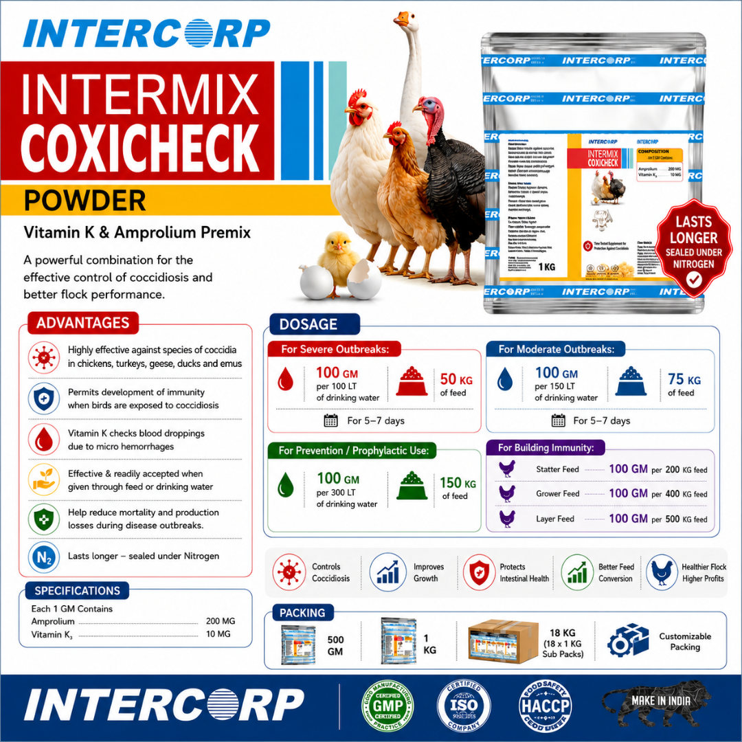 INTERMIX - COXICHECK WS - BROCHURE - SQUARE