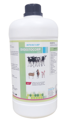 INTERMIX - DIGESTOCORP (VET) 1 Lit