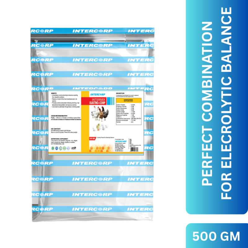 INTERMIX - ELECTROCORP WS VET - PRODUCT IMAGE 500 GM