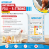 INTERMIX - FOLI-B STRONG - ADVANTAGES