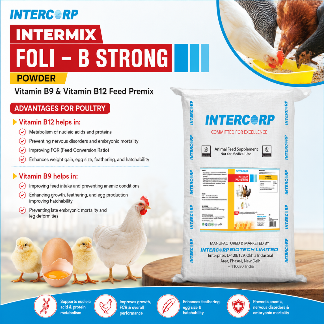 INTERMIX - FOLI-B STRONG - ADVANTAGES