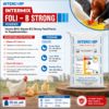 INTERMIX - FOLI-B STRONG - BROCHURE IMAGE