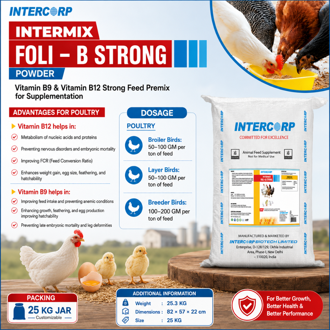 INTERMIX - FOLI-B STRONG - BROCHURE IMAGE