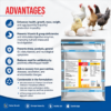 INTERMIX - GROWWITH 250 GROWER FEED PREMIX - ADVANTAGES
