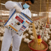 INTERMIX - GROWWITH 500 GROWER FEED PREMIX - BEING USED