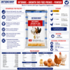 INTERMIX - GROWWITH 500 GROWER FEED PREMIX - BROCHURE