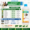 INTERMIX - HIPROVIT-1 DOSAGE