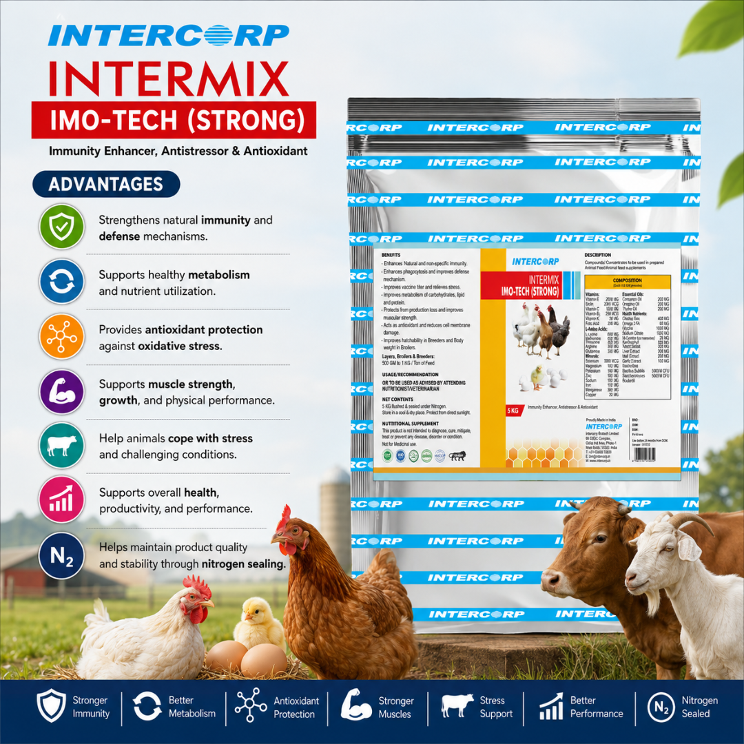 INTERMIX - IMOTECH STRONG - ADVANTAGES