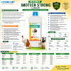 INTERMIX - IMOTECH STRONG - BROCHURE