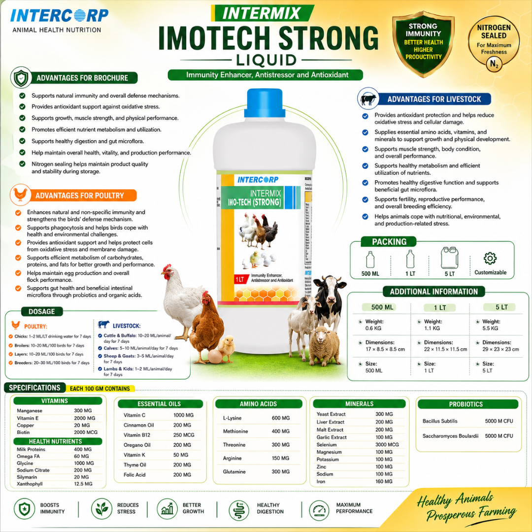 INTERMIX - IMOTECH STRONG - BROCHURE