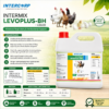 INTERMIX - LEVOPLUS BH - BROCHURE IMAGE
