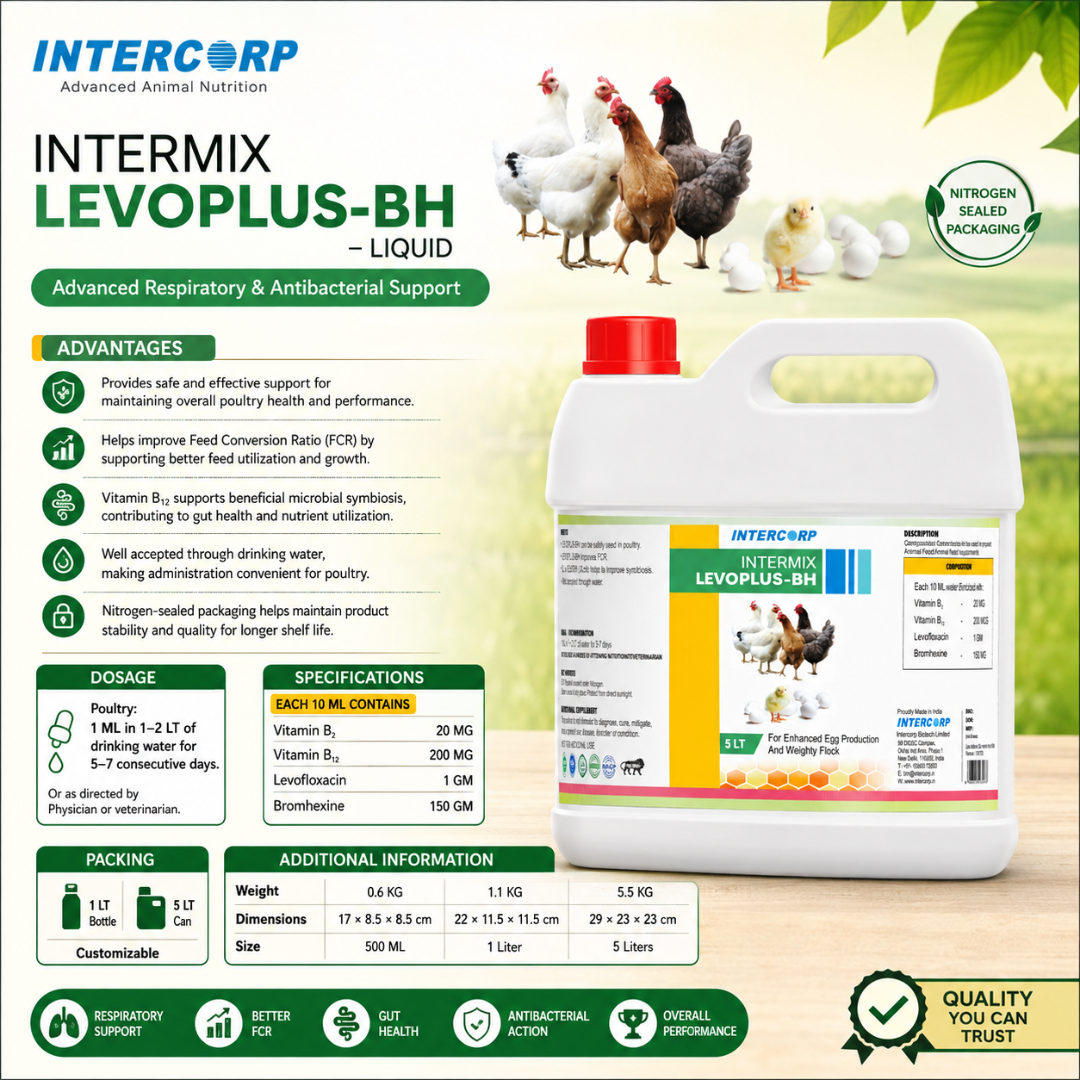 INTERMIX - LEVOPLUS BH - BROCHURE IMAGE