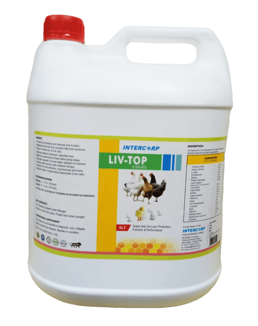 INTERMIX - LIV-TOP - 5 LT CAN - LIQUID