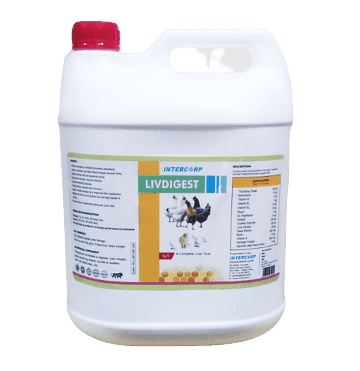 INTERMIX - LIVDIGEST - 5 Liter