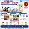 INTERMIX - LIVDIGEST - HOW TO USE - SQUARE