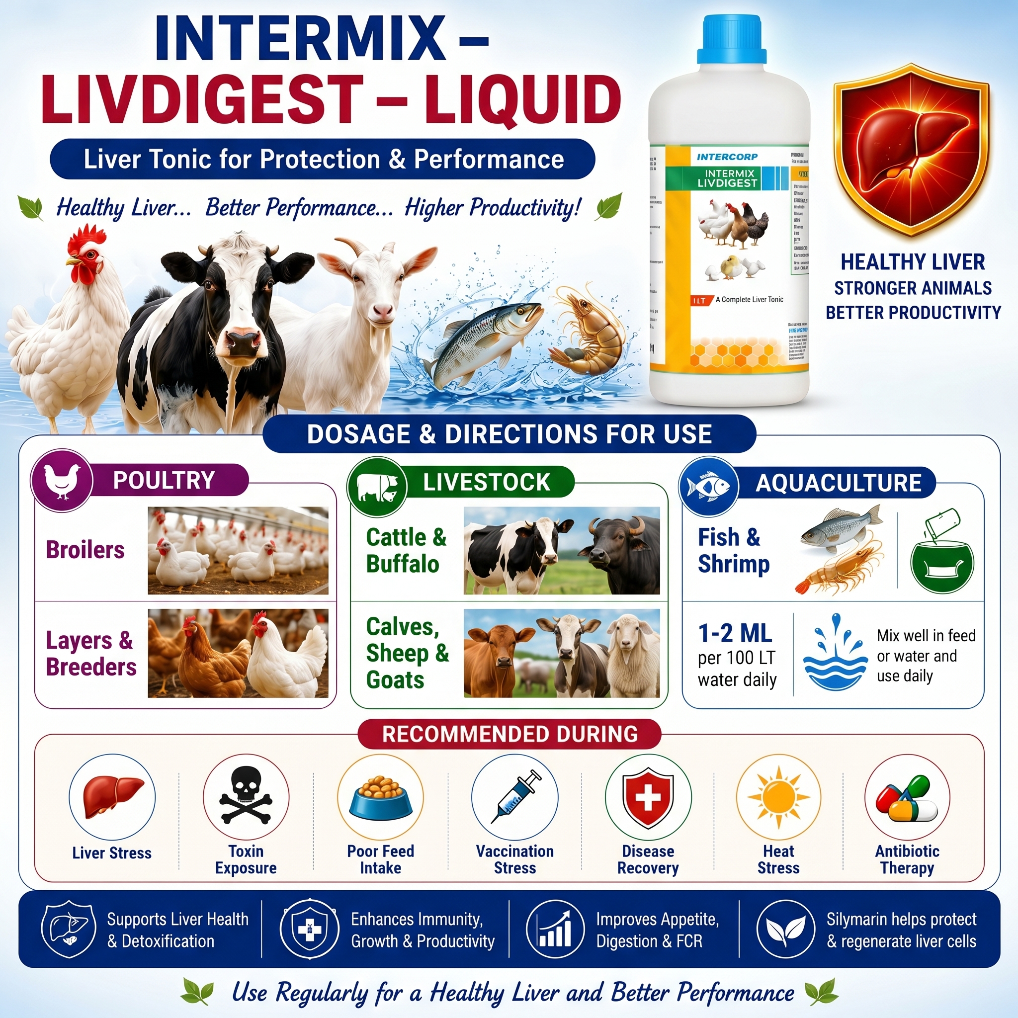 INTERMIX - LIVDIGEST - HOW TO USE - SQUARE