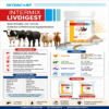 INTERMIX - LIVDIGEST - POWDER - BROCHURE - SQUARE
