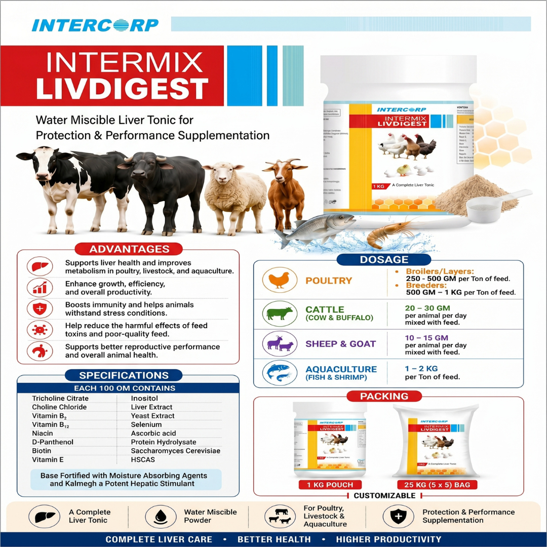 INTERMIX - LIVDIGEST - POWDER - BROCHURE - SQUARE