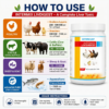 INTERMIX - LIVDIGEST - POWDER - HOW TO USE - SQUARE