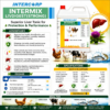 INTERMIX - LIVDIGEST STRONG - BROCHURE